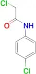 N1-(4-Chlorophenyl)-2-chloroacetamide