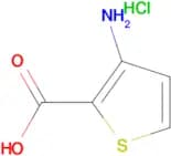 3-Amino-thiophene-2-carboxylic acid hydrochloride
