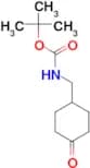 4-N-Boc-aminomethyl-cyclohexnone