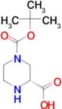 (R)-4-N-Boc-piperazine-2-carboxylic acid