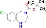4-Boc-7-Chloro-2,3,4,5-tetrahydro-1H-benzo[e][1,4]diazepine