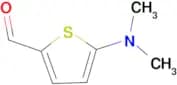 5-Dimethylamino-thiophene-2-carbaldehyde