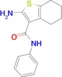 2-Amino-4,5,6,7-tetrahydro-benzo[b]thiophene-3-carboxylic acid phenylamide