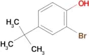 2-Bromo-4-tert-butylphenol