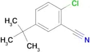 5-tert-Butyl-2-chlorobenzonitrile