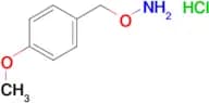 O-(4-Methoxy-benzyl)-hydroxylamine hydrochloride