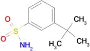 3-tert-Butyl benzenesulfonamide