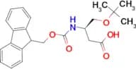 fmoc-b-homo-ser(tbu)-oh