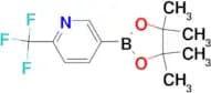 5-(4,4,5,5-Tetramethyl-1,3,2-dioxaborolan-2-yl)-2-(trifluoromethyl)pyridine