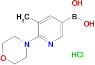 5-Methyl-6-morpholinopyridin-3-ylboronic acidhydrochloride