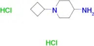 4-Amino-1-cyclobutyl-piperidine dihydrochloride