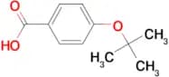 4-tert-Butoxybenzoic acid