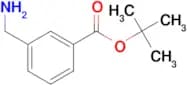 tert-Butyl 3-aminomethylbenzoate