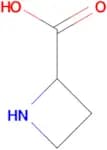 Azetidine-2-carboxylic acid