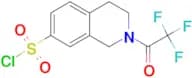 1,2,3,4-Tetrahydro-2-(trifluoroacetyl)isoquinoline-7-sulfonyl chloride