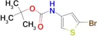 3-N-Boc-Amino-5-bromothiophene