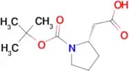 Boc-L-β-Homoproline