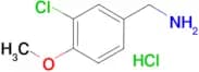 3-Chloro-4-methoxybenzylamine hydrochloride