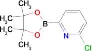 6-Chloropyridine-2-boronic acid pinacol ester