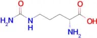 D-Citrulline