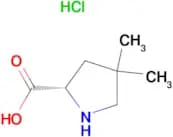 4,4-Dimethyl-L-proline hydrochloride