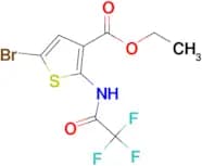 Ethyl 5-bromo-2-(2,2,2-trifluoroacetamido)thiophene-3-carboxylate