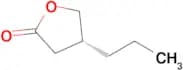 (R)-4-Propyldihydrofuran-2(3H)-one