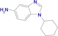 1-Cyclohexyl-1H-benzoimidazol-5-ylamine