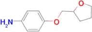 4-(Tetrahydro-furan-2-ylmethoxy)-phenylamine