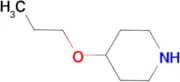 4-Propoxy-piperidine
