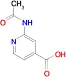 2-Acetylamino-isonicotinic acid