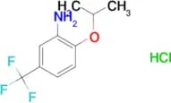 2-Isopropoxy-5-trifluoromethyl-phenylamine hydrochloride