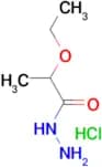 2-Ethoxypropanohydrazidehydrochloride