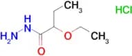 2-ethoxybutanohydrazide hydrochloride