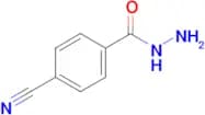 4-Cyanobenzohydrazide