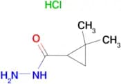 2,2-Dimethylcyclopropanecarbohydrazidehydrochloride