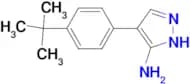 4-(4-tert-Butylphenyl)-1H-pyrazol-3-amine