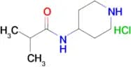 N-(piperidine-4-yl)isobutylamide hydrochloride