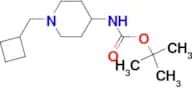 tert-Butyl 1-(cyclobutylmethyl)piperidin-4-ylcarbamate