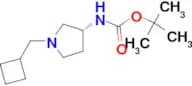 (R)-tert-Butyl 1-(cyclobutylmethyl)pyrrolidin-3-ylcarbamate