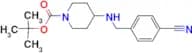 tert-Butyl 4-(4-cyanobenzylamino)piperidine-1-carboxylate