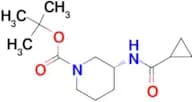 (R)-tert-Butyl 3-cyclopropaneamidopiperidine-1-carboxylate