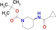 (S)-tert-Butyl 3-cyclopropaneamidopiperidine-1-carboxylate