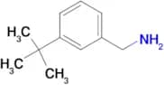 1-(3-tert-Butylphenyl)methanamine