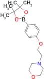4-{2-[4-(4,4,5,5-Tetramethyl[1,3,2]dioxaborolan-2-yl) phenoxy]ethyl}morpholine