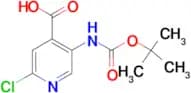 5-[(tert-Butoxycarbonyl)amino]-2-chloroisonicotinic acid
