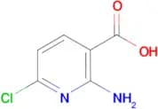 2-Amino-6-chloronicotinic acid