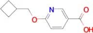 6-(Cyclobutylmethoxy)nicotinic acid