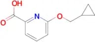 6-(Cyclopropylmethoxy)pyridine-2-carboxylic acid