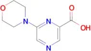 6-Morpholin-4-ylpyrazine-2-carboxylic acid